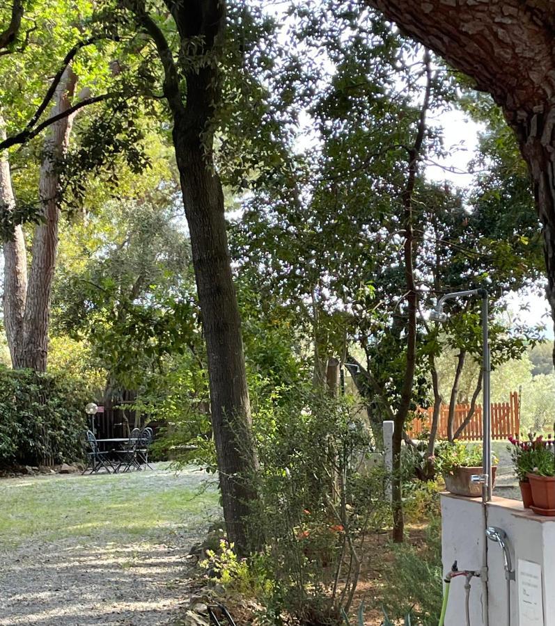 Agriturismo Podere Campalto กัมปีลยา มาริตติมา ภายนอก รูปภาพ