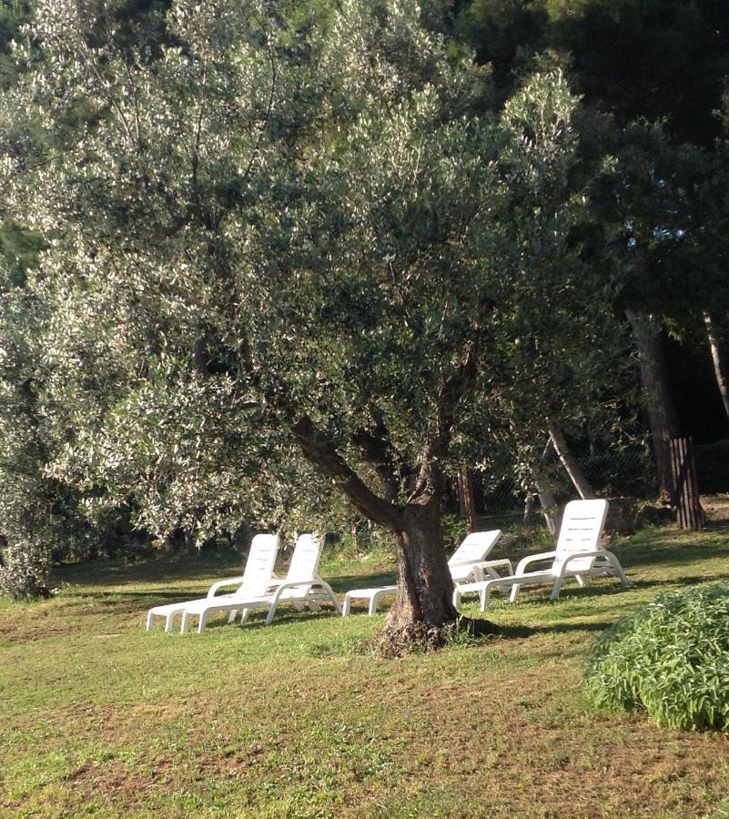 Agriturismo Podere Campalto กัมปีลยา มาริตติมา ภายนอก รูปภาพ