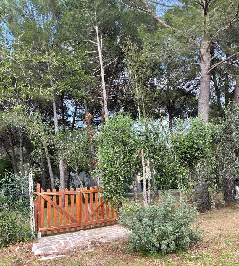 Agriturismo Podere Campalto กัมปีลยา มาริตติมา ภายนอก รูปภาพ
