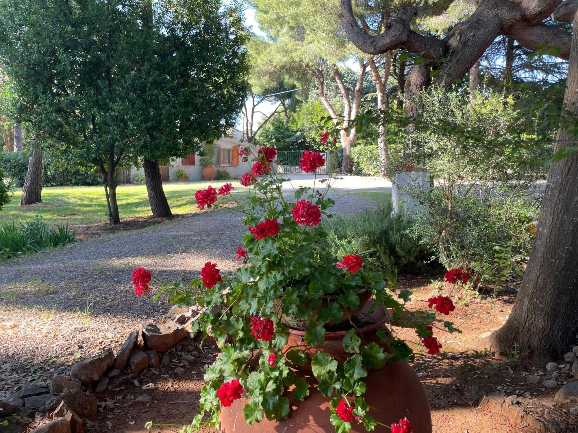 Agriturismo Podere Campalto กัมปีลยา มาริตติมา ภายนอก รูปภาพ