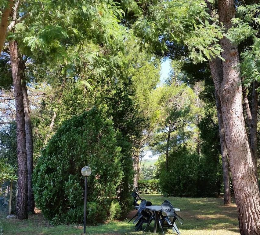 Agriturismo Podere Campalto กัมปีลยา มาริตติมา ภายนอก รูปภาพ