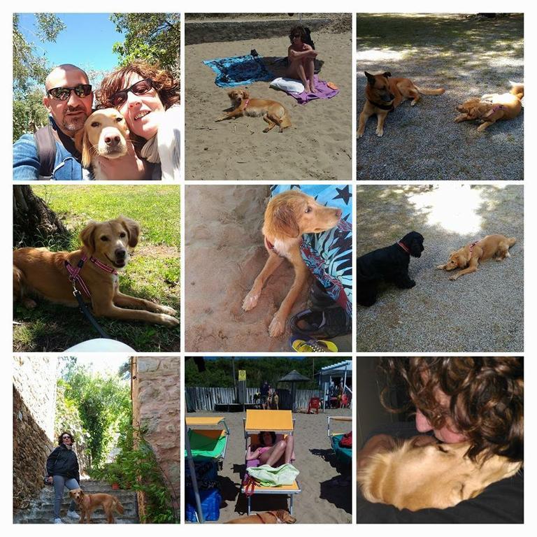 Agriturismo Podere Campalto กัมปีลยา มาริตติมา ภายนอก รูปภาพ