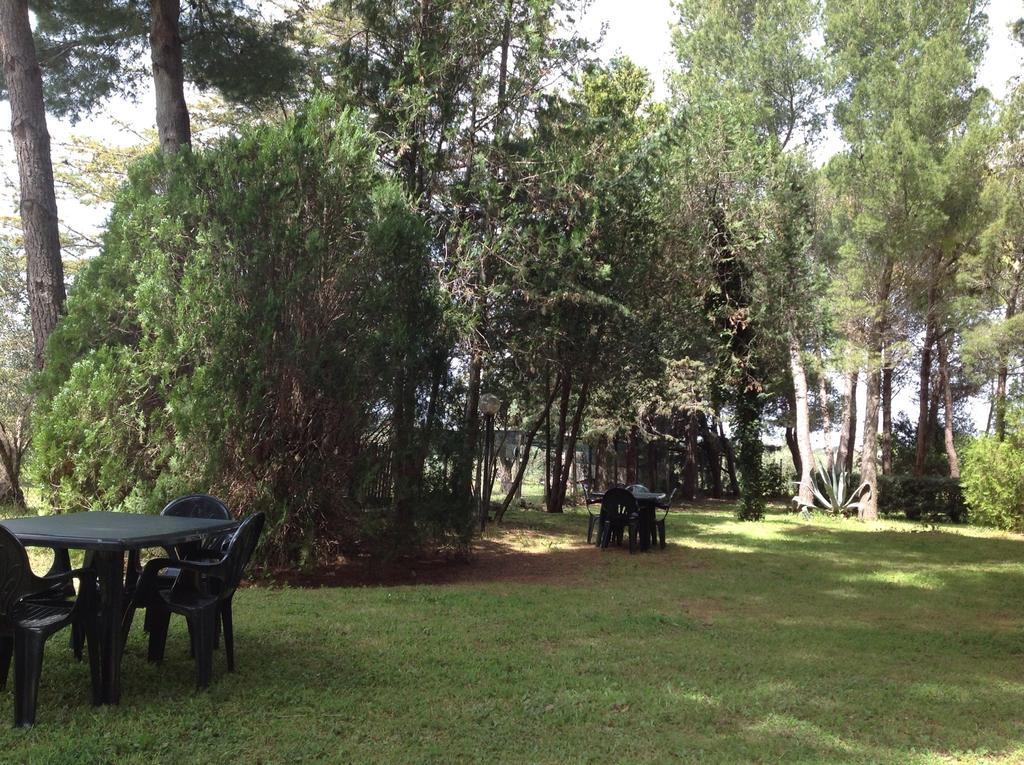 Agriturismo Podere Campalto กัมปีลยา มาริตติมา ภายนอก รูปภาพ