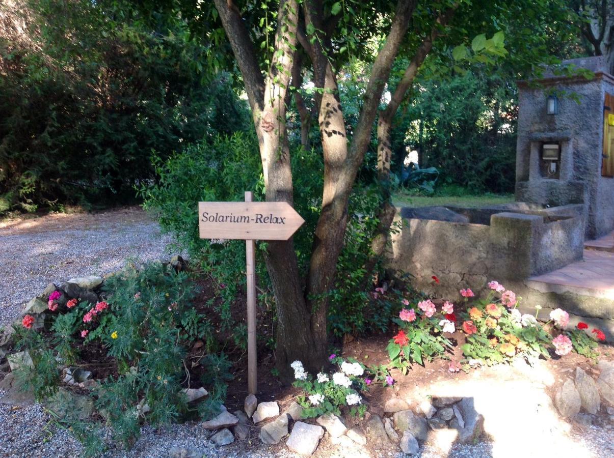 Agriturismo Podere Campalto กัมปีลยา มาริตติมา ภายนอก รูปภาพ