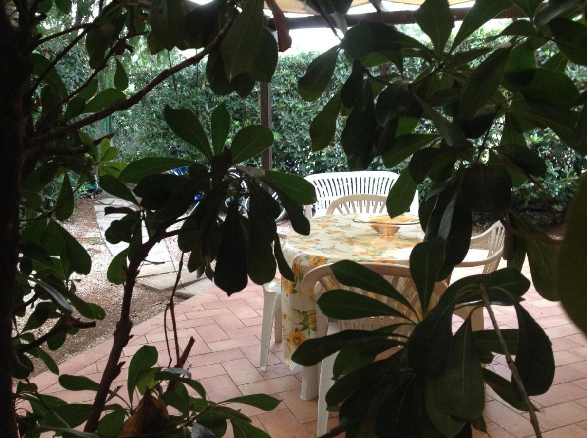 Agriturismo Podere Campalto กัมปีลยา มาริตติมา ภายนอก รูปภาพ